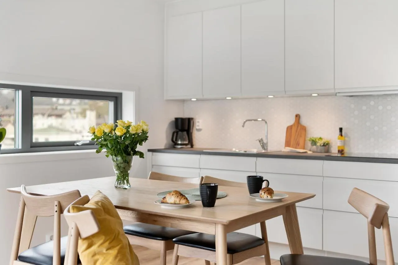 Bjorvika Apartments, Damsgard Area, Bergen City Center