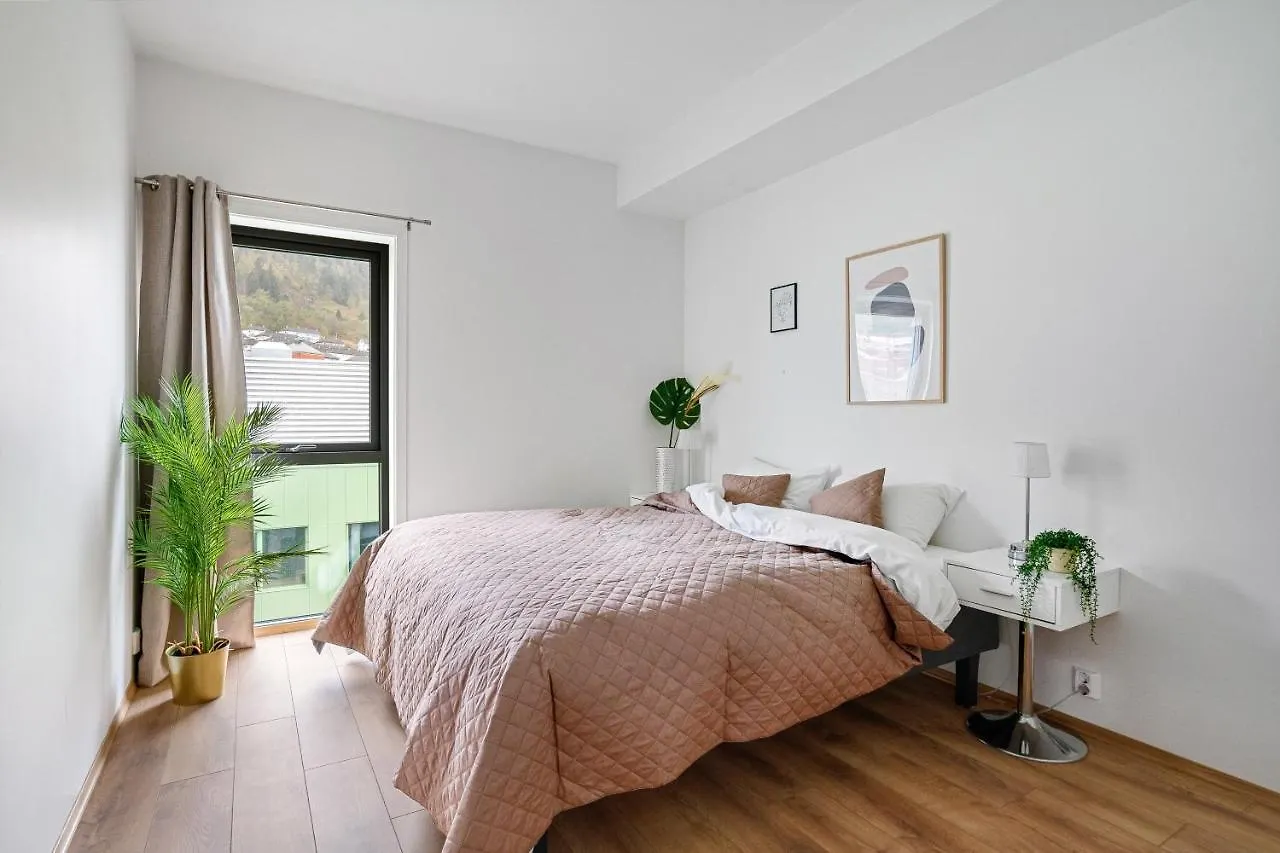 Bjorvika Apartments, Damsgard Area, Bergen City Center